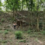 Pobladores revelan sitio maya El Jefeciño en Quintana Roo