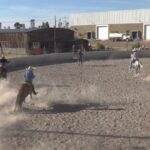 Charrería en Durango: deporte activo con categorías para toda la familia