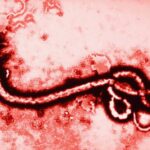 México sin casos de ébola; Secretaría de Salud refuerza vigilancia ante brote