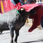 Sube a dos la cifra de fallecidos tras los incidentes de la Huamantlada 2026