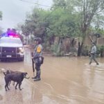 Apoya Guardia Nacional a afectados por lluvias en Sonora