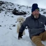 Rescatan con vida a perrita tras 50 horas desaparecida en Alaska